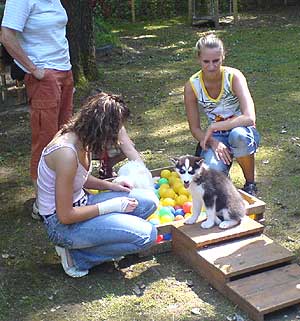 Ina in der Welpenstunde