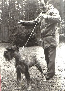 Wolfgang Gallo mit seinem Mittelschnauzer "Dag vom Haus Nord"